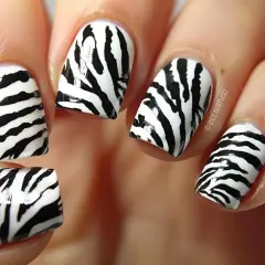 Paznokcie motyw zwierzęcy w stylu zebra. Czarne pasy na białym tle tworzą dziki wzór.